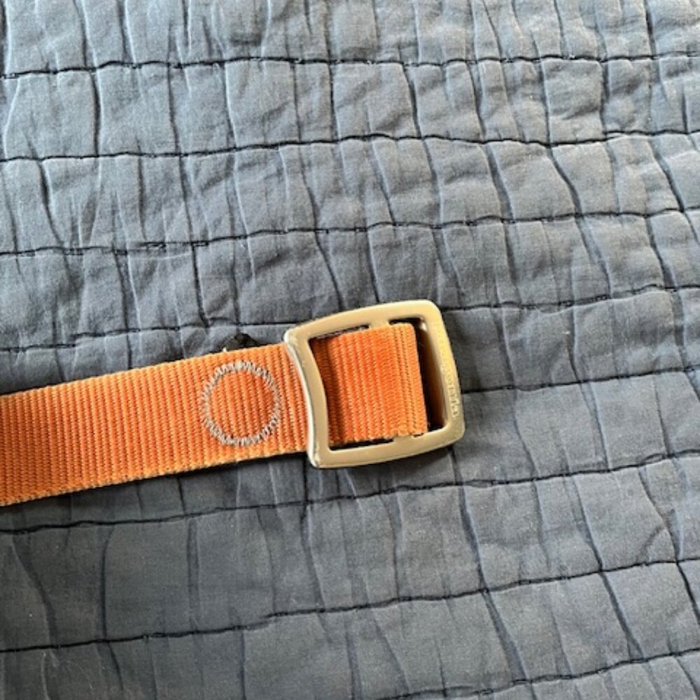 Patagonia Belt Sz. 36w and under